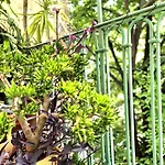 公寓 L'artiste - Balcon - Clim 尼姆