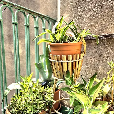 L'artiste - Balcon - Clim Apartment