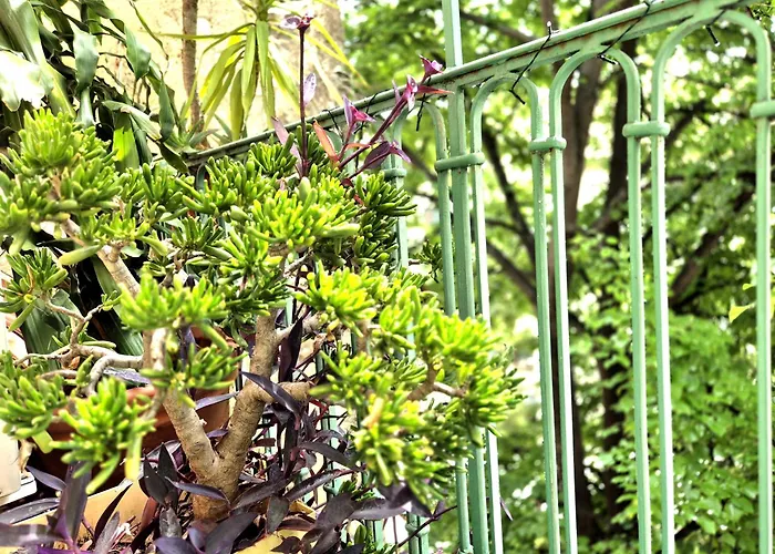 Apartament L'artiste - Balcon - Clim Nîmes